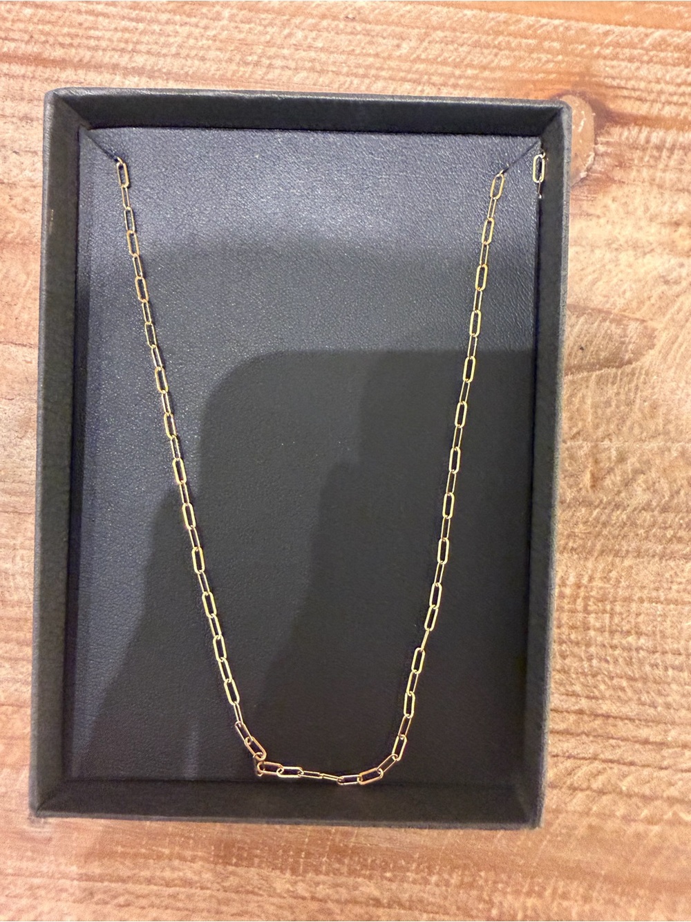 Miranda Frye Classic Paperclip Chain Necklace - Gold